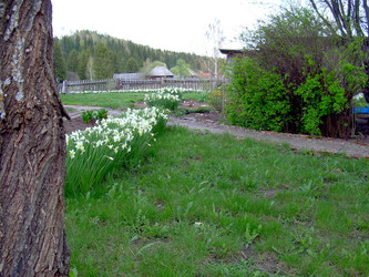 Similar image 21813572