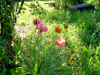 Similar image 21812873