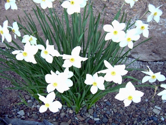 Similar image 21812875