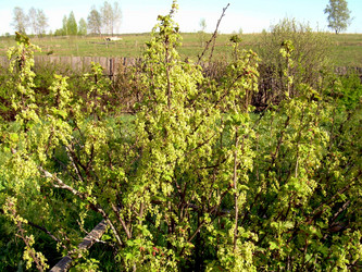 Similar image 21812878