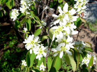 Similar image 21812879