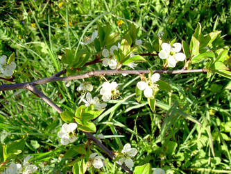 Similar image 21812881