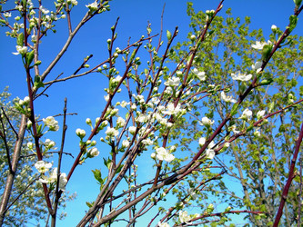 Similar image 21812882