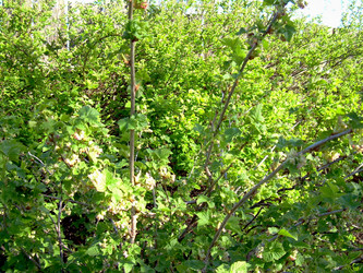 Similar image 21812883