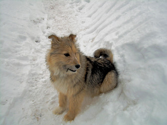 Similar image 21812884