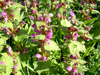 Similar image 21812885