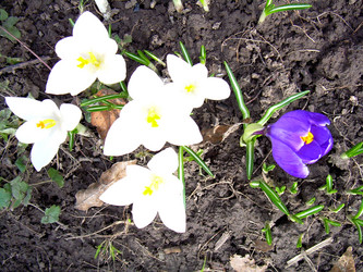 Similar image 21812886