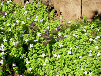 Similar image 21812887