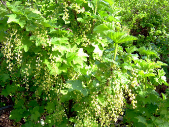 Similar image 21812888