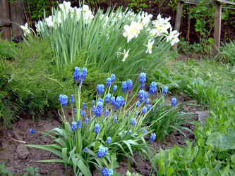 Similar image 21812889