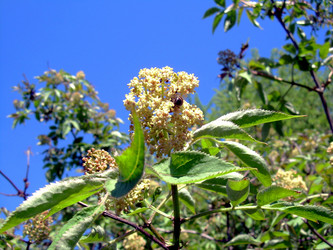 Similar image 21812890