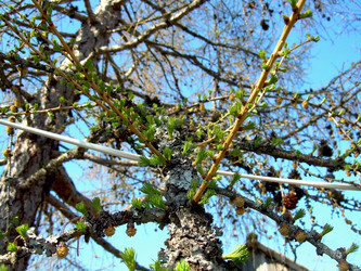 Similar image 21812891