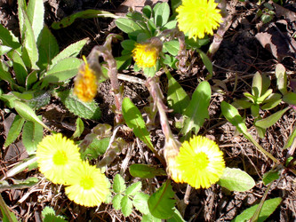 Similar image 21812895