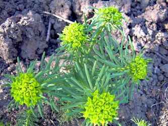 Similar image 21812896