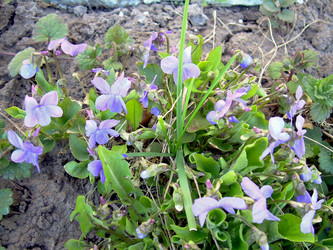 Similar image 21812897