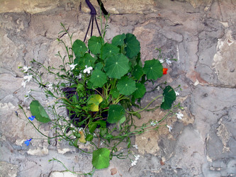 Similar image 21813585