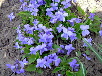 Similar image 21813586