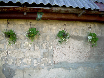 Similar image 21813587