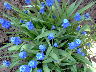 Similar image 21812899