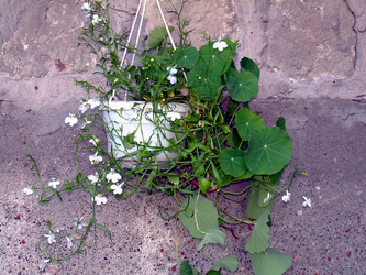 Similar image 21812900