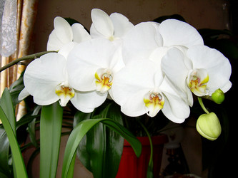 Similar image 21813588