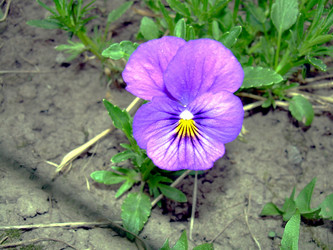 Similar image 21813590