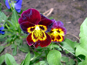 Similar image 21813591