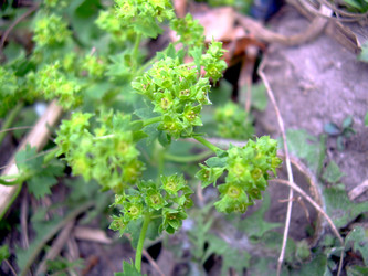 Similar image 21812906