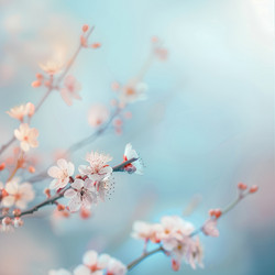 Similar image 21812910