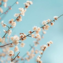 Similar image 21812911