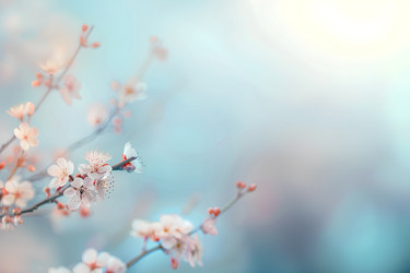 Similar image 21812914