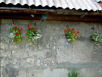 Similar image 21813597