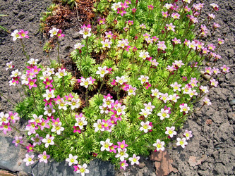 Similar image 21812918