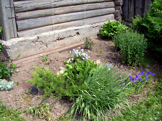 Similar image 21813602