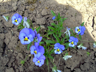 Similar image 21812920