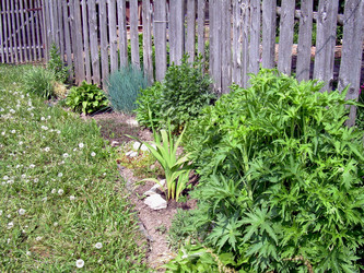 Similar image 21813604