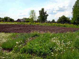 Similar image 21813606