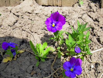 Similar image 21813608