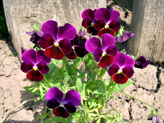 Similar image 21813609