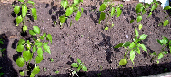 Similar image 21813611