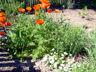 Similar image 21813613