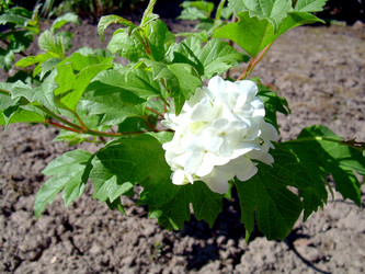 Similar image 21813614