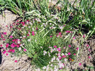 Similar image 21813615