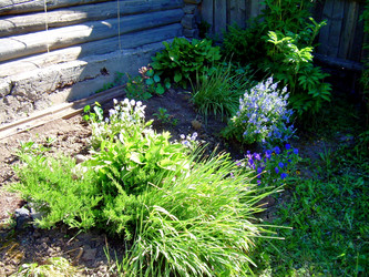 Similar image 21813616