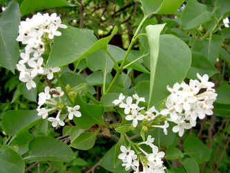 Similar image 21813617