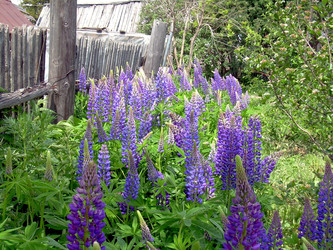 Similar image 21813618