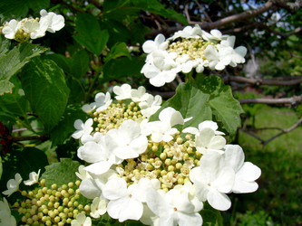 Similar image 21813619