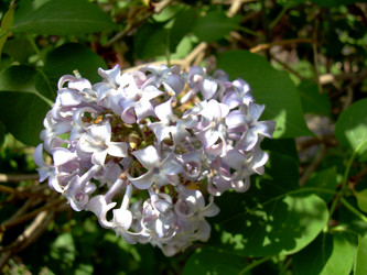 Similar image 21813620