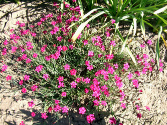 Similar image 21813621