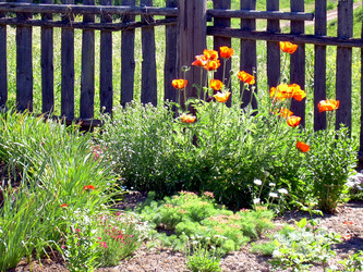 Similar image 21813622